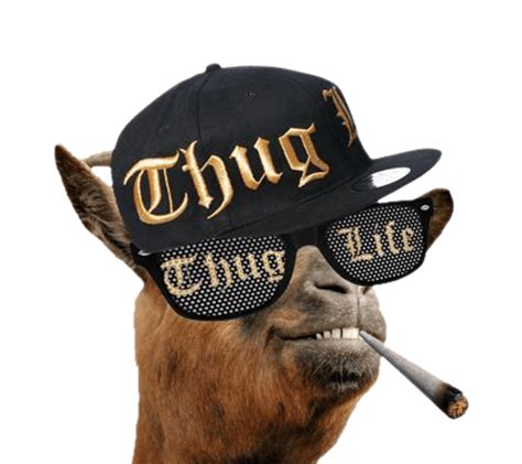 THUG LIFE .